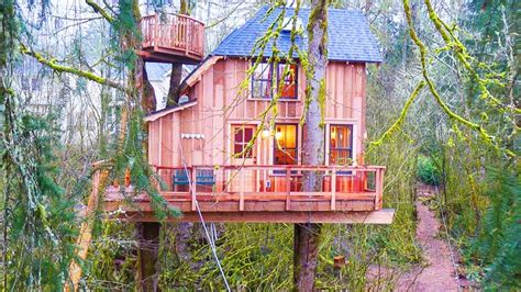 A Whimsical Journey: Discover the Charms of the Treehouse in the Woods